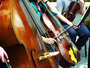 The Selenia Orchestra